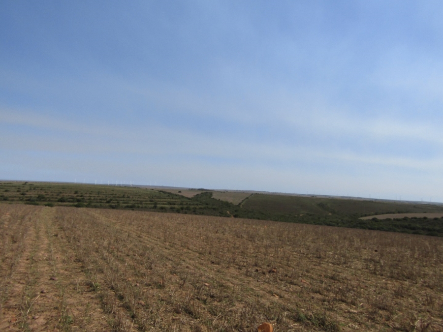 Commercial Property for Sale in Humansdorp Rural Eastern Cape
